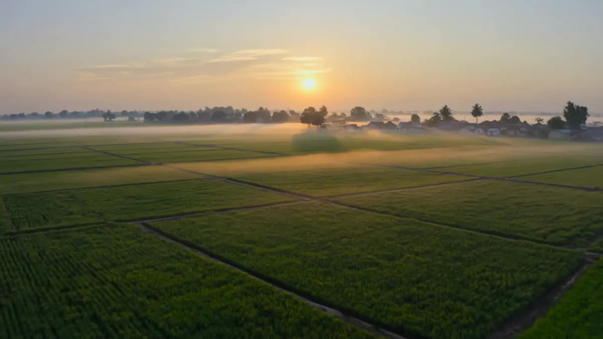 Morning Village Green Fields Sunrise Rural Scenery