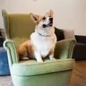 黄先森